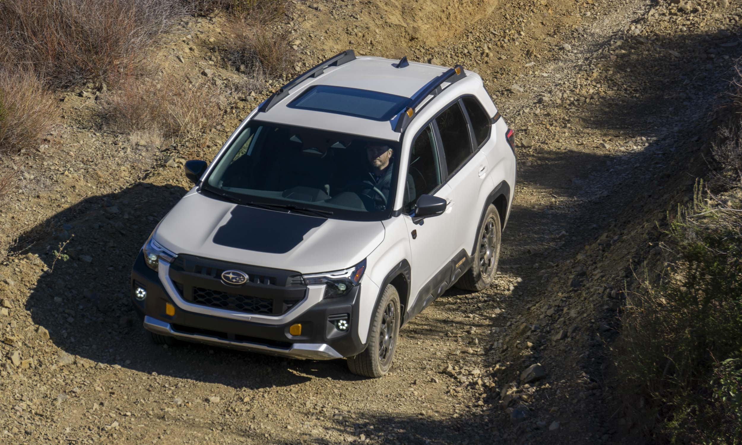 2026 Subaru Forester Wilderness First Look AutoNXT 2026 Subaru Forester Wilderness First Look AutoNXT